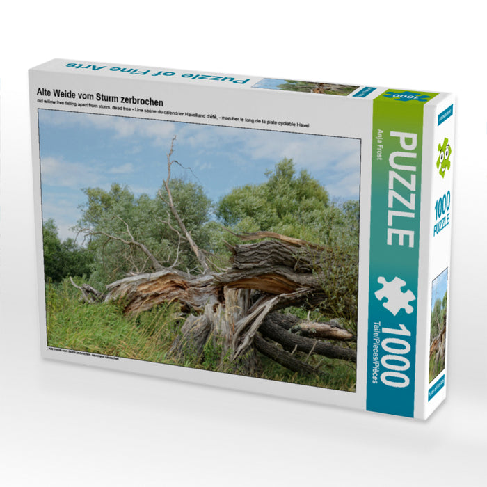 Vieux saule brisé par la tempête - Puzzle photo CALVENDO 