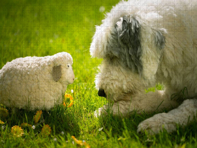 Schau mir in die Augen... - CALVENDO Foto-Puzzle'