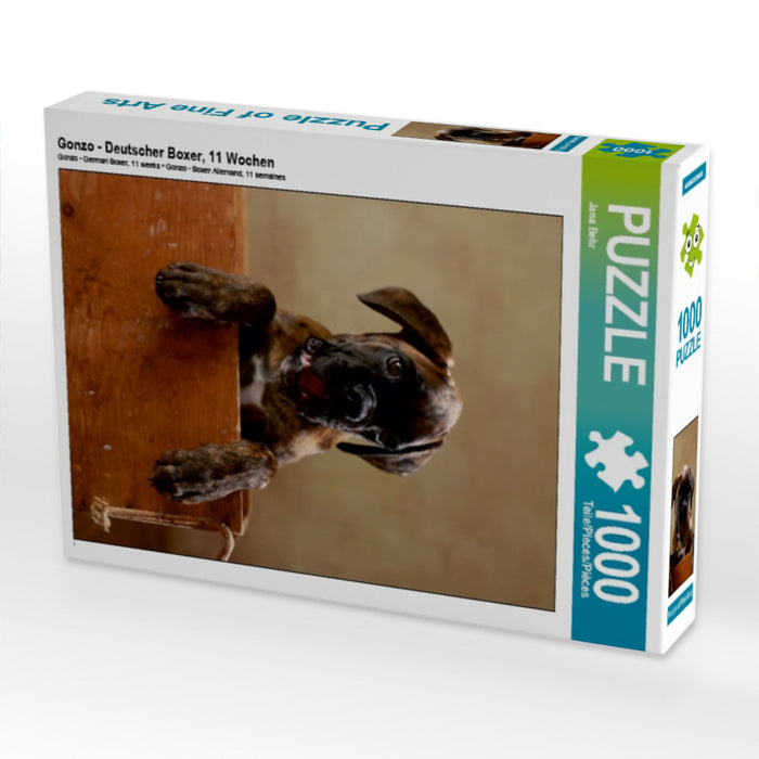 Gonzo - Deutscher Boxer, 11 Wochen 1000 Teile Puzzle hoch - CALVENDO Foto-Puzzle'