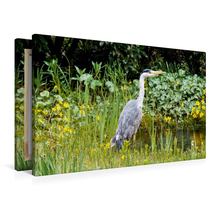 Premium Textil-Leinwand Graureiher