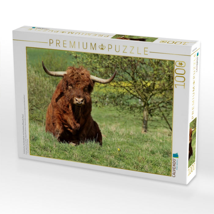 Schottischer Hochlandbulle mit Schafstelze (Motacilla flava) - CALVENDO Foto-Puzzle'
