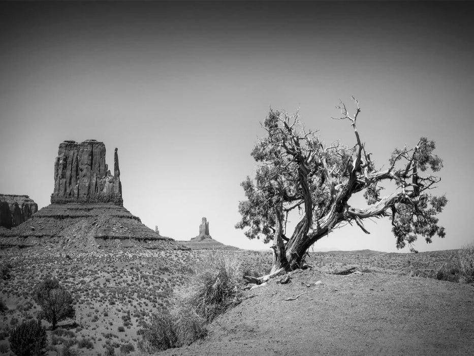 MONUMENT VALLEY West Mitten Butte und Baum - CALVENDO Foto-Puzzle'