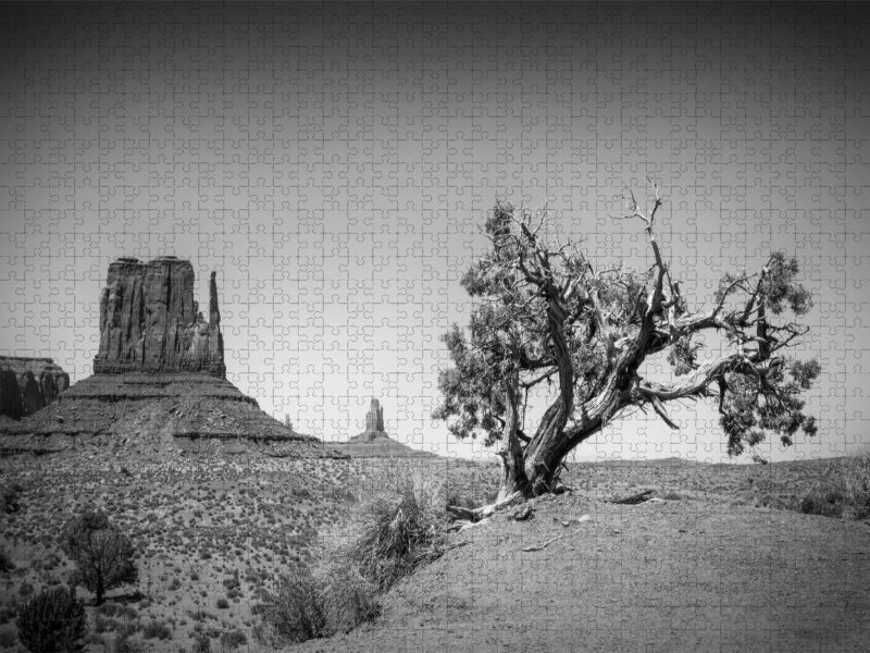 MONUMENT VALLEY West Mitten Butte und Baum - CALVENDO Foto-Puzzle'