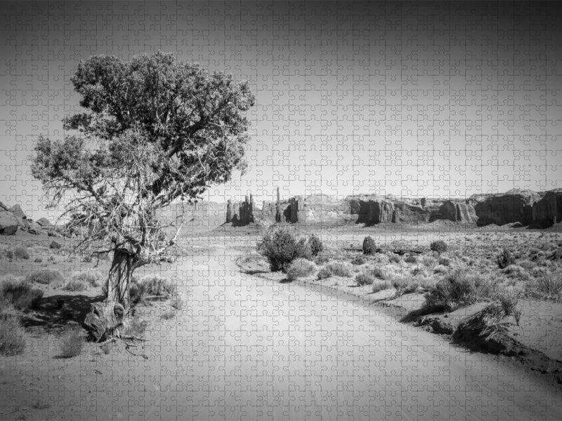 Monument Valley Drive und Totem Pole - CALVENDO Foto-Puzzle'