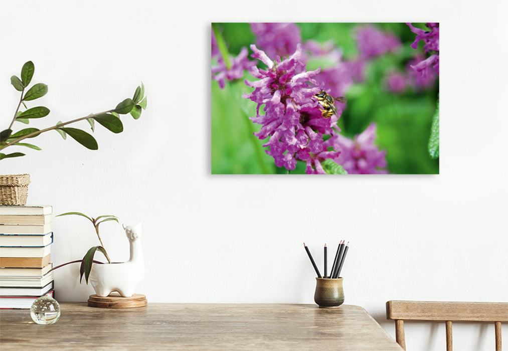 Premium textile canvas Premium textile canvas 75 cm x 50 cm landscape wild bee on flower. wool bee 