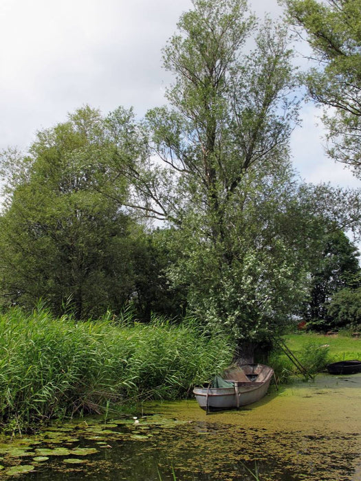 Boot am Ufer der Havel - CALVENDO Foto-Puzzle'