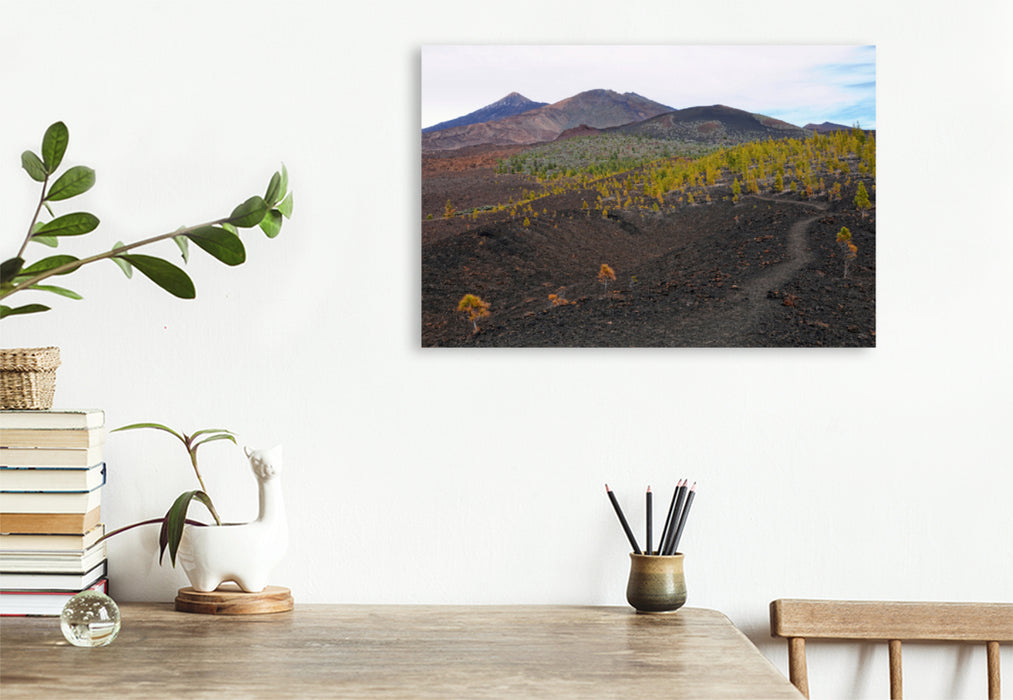 Premium textile canvas Premium textile canvas 120 cm x 80 cm landscape landscape in Teide National Park Tenerife 