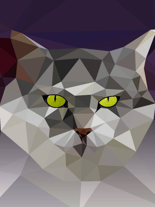 Katze - CALVENDO Foto-Puzzle'