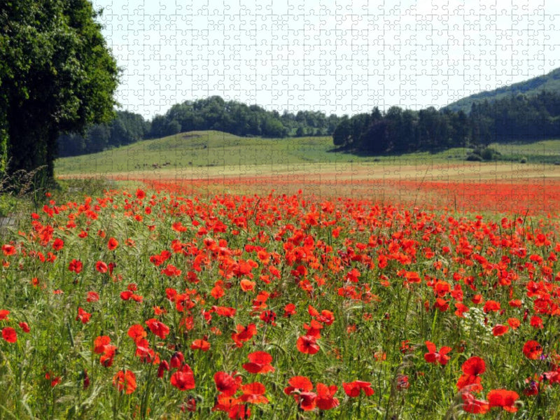 Mohnfeld am alten Kraterrand vom Laacher See - CALVENDO Foto-Puzzle'