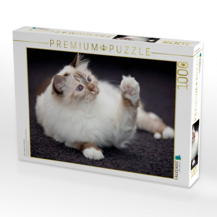 Süße Heilige Birma Katze - CALVENDO Foto-Puzzle'