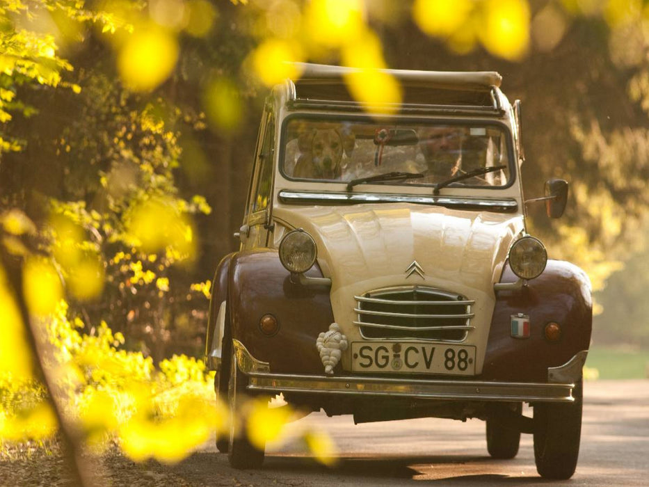 Dolly auf Herbstausfahrt - CALVENDO Foto-Puzzle'