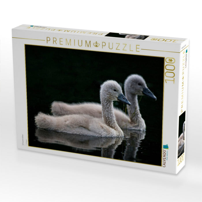 Schwanen Küken - CALVENDO Foto-Puzzle'