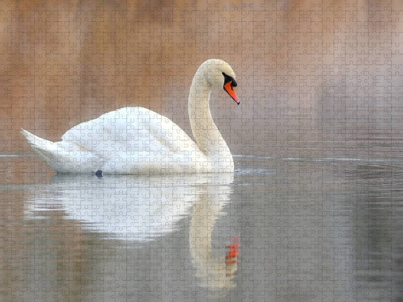 Eleganz in Weiß - CALVENDO Foto-Puzzle'