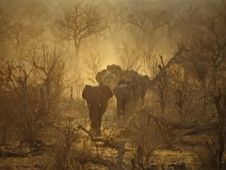 Ein Motiv aus dem Kalender Zauberhaftes Namibia - Natur und Landschaft - CALVENDO Foto-Puzzle'