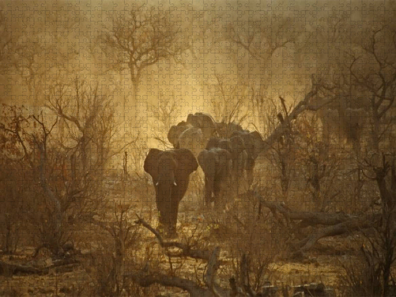 Ein Motiv aus dem Kalender Zauberhaftes Namibia - Natur und Landschaft - CALVENDO Foto-Puzzle'