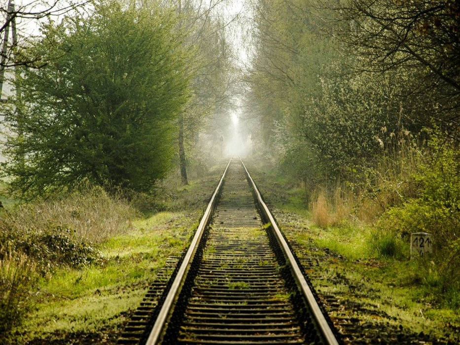 Draisinenstrecke - CALVENDO Foto-Puzzle'