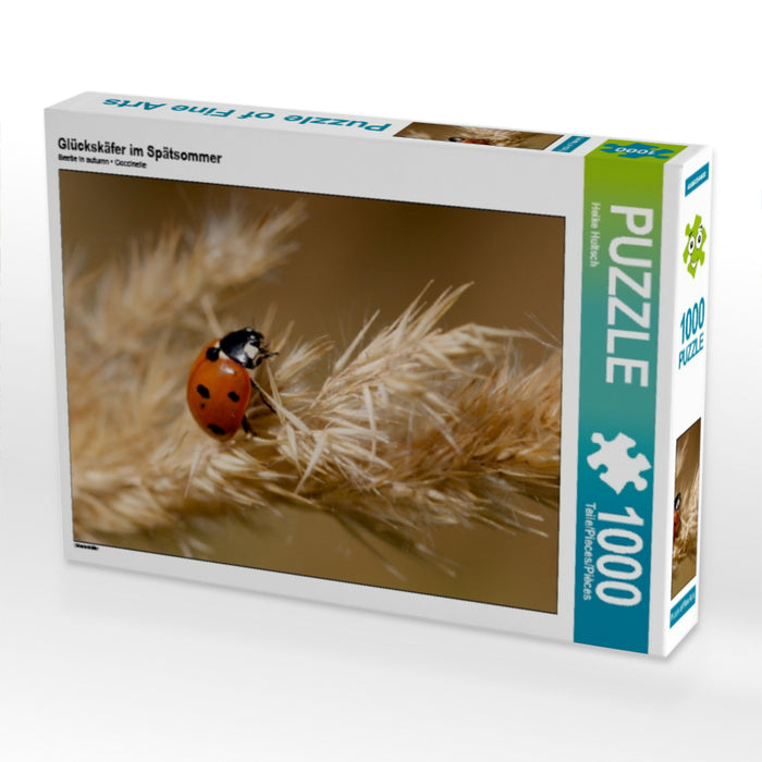 Lucky beetles in late summer - CALVENDO photo puzzle 