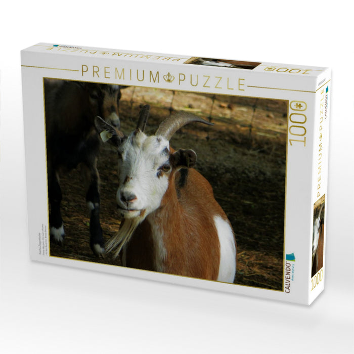 Freche Ziegenböcke - CALVENDO Foto-Puzzle'