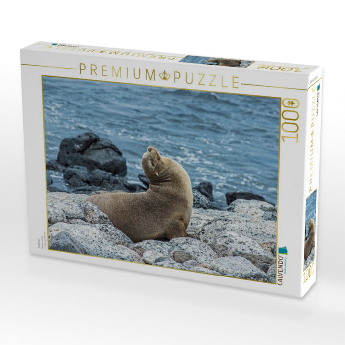 Seelöwe - CALVENDO Foto-Puzzle'
