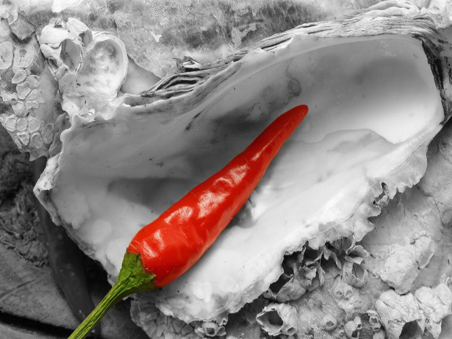 Pepperoni als Colorkey - CALVENDO Foto-Puzzle'