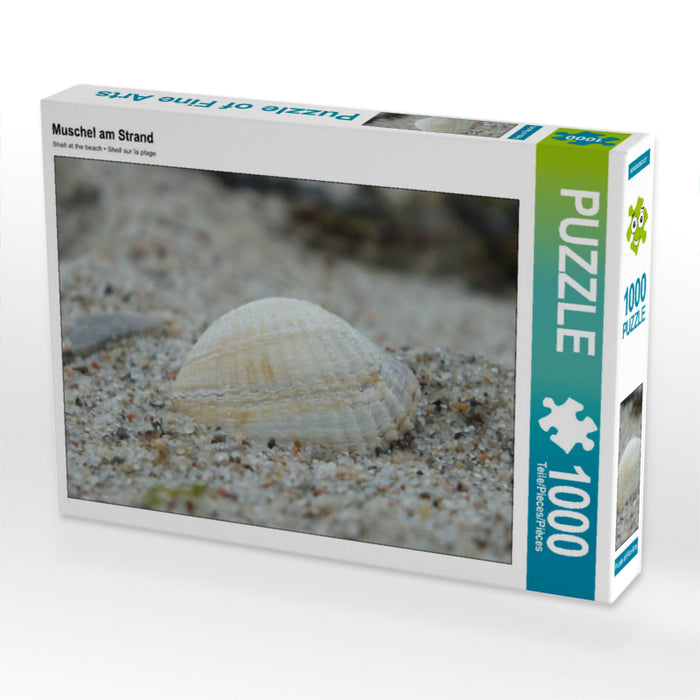 Muschel am Strand 2000 Teile Puzzle quer - CALVENDO Foto-Puzzle'