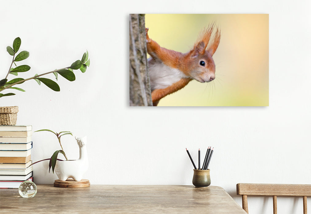 Premium textile canvas Premium textile canvas 75 cm x 50 cm landscape Squirrel 