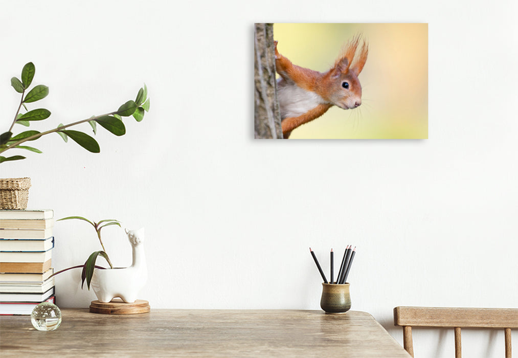 Premium textile canvas Premium textile canvas 75 cm x 50 cm landscape Squirrel 