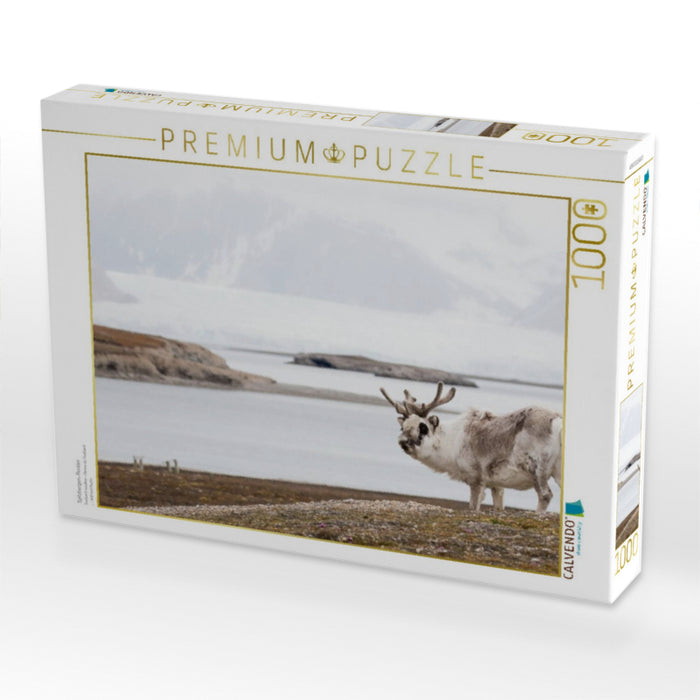 Spitzbergen-Rentier - CALVENDO Foto-Puzzle'