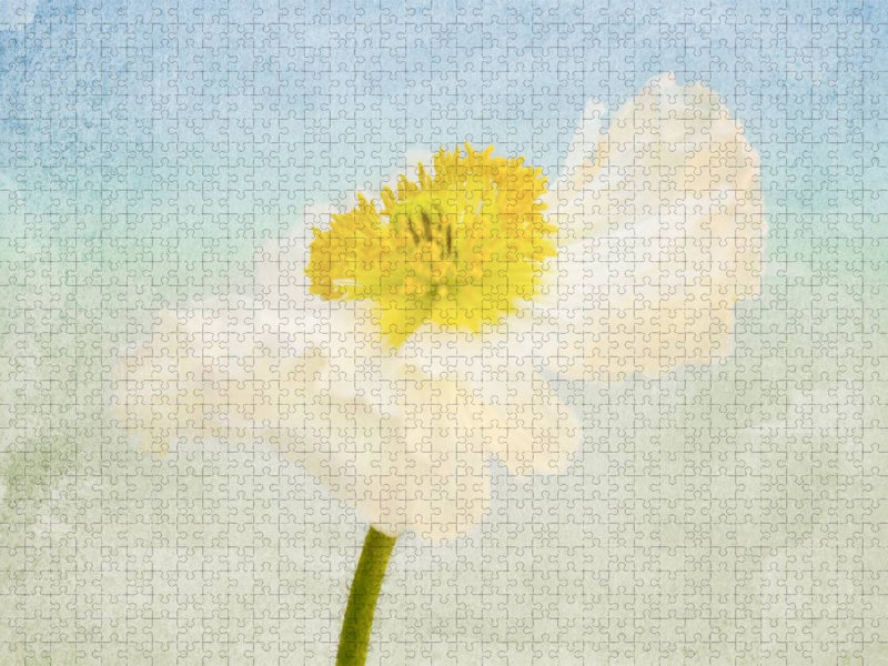 Summerfeeling - CALVENDO Foto-Puzzle'