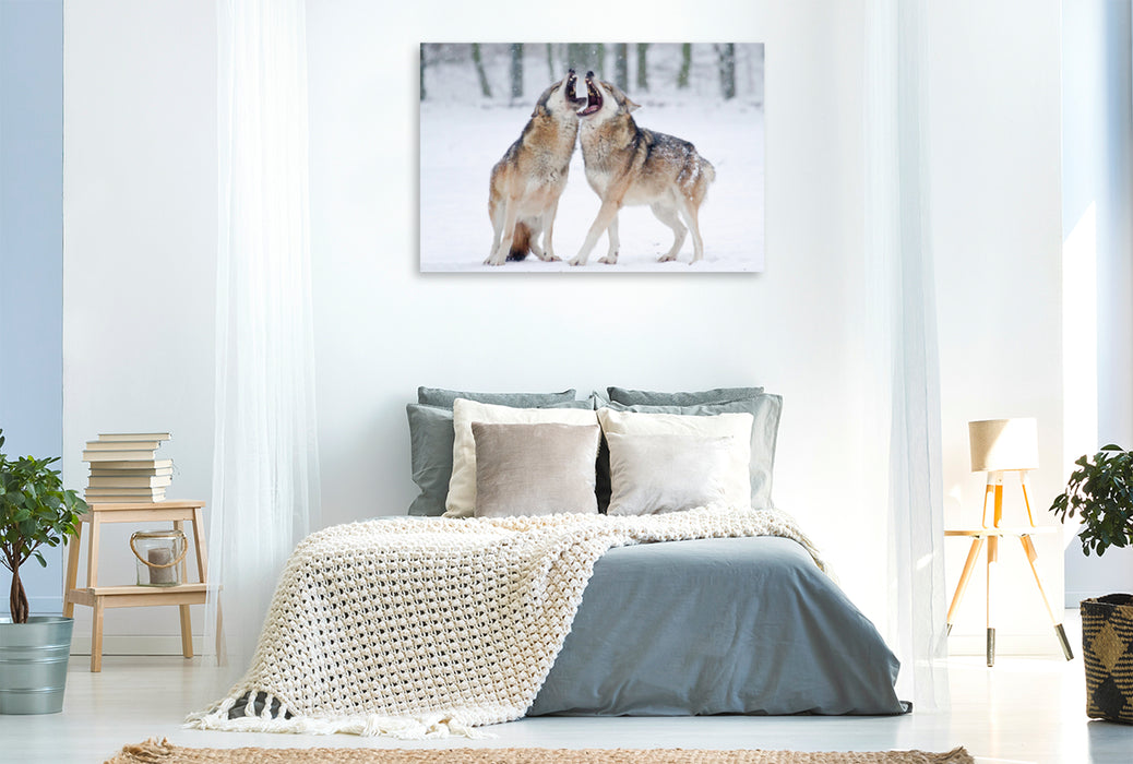 Premium textile canvas Premium textile canvas 120 cm x 80 cm landscape Howling Wolves 