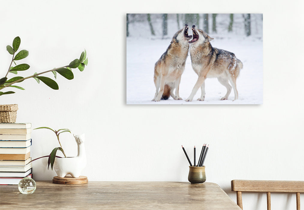 Premium textile canvas Premium textile canvas 120 cm x 80 cm landscape Howling Wolves 