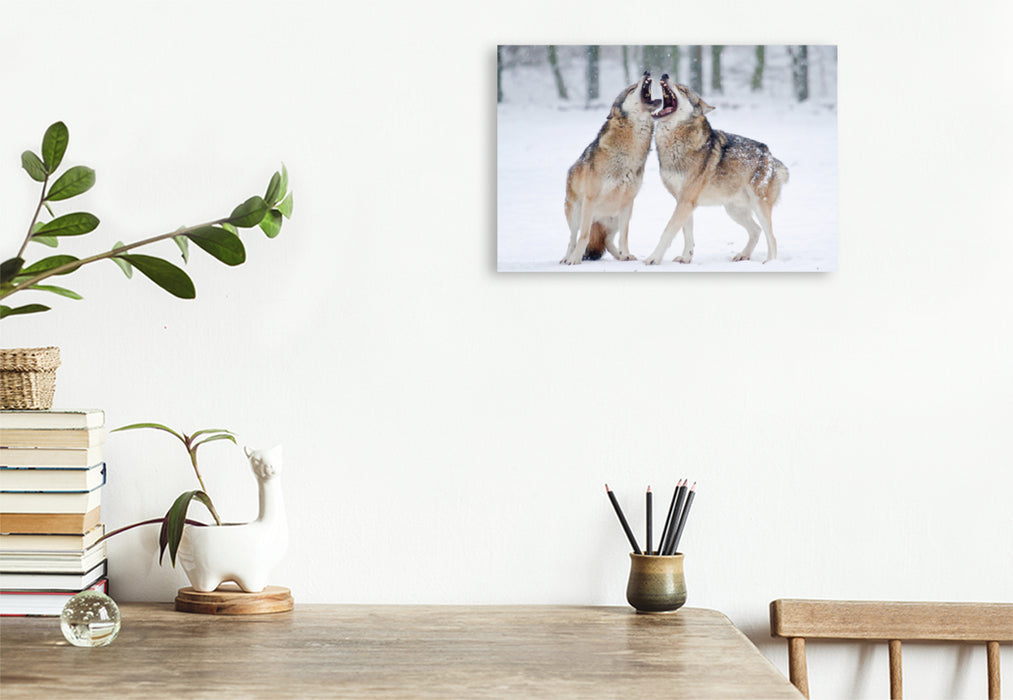 Premium textile canvas Premium textile canvas 120 cm x 80 cm landscape Howling Wolves 