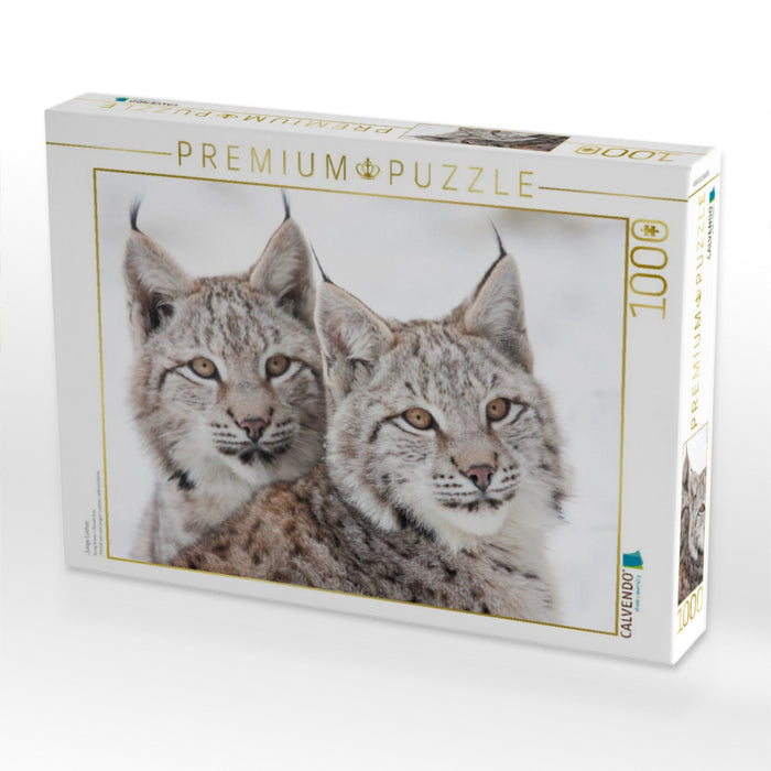 Junge Luchse - CALVENDO Foto-Puzzle'