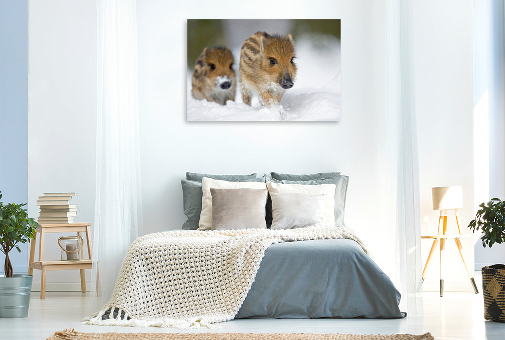 Premium textile canvas Premium textile canvas 120 cm x 80 cm landscape Freshlings in the snow 