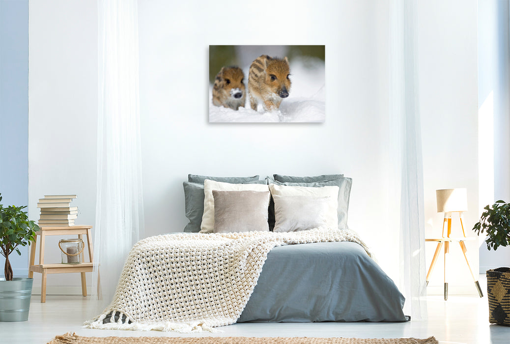 Premium textile canvas Premium textile canvas 120 cm x 80 cm landscape Freshlings in the snow 