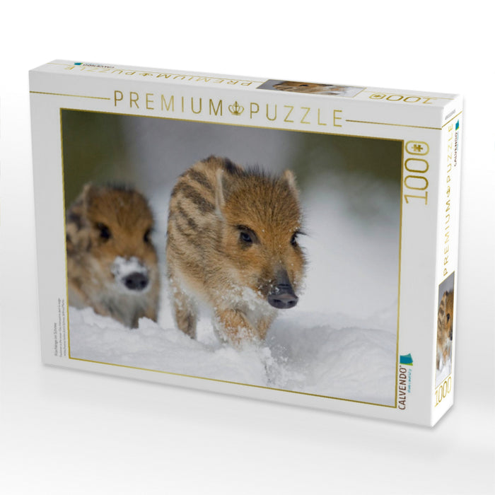 Frischlinge im Schnee - CALVENDO Foto-Puzzle'