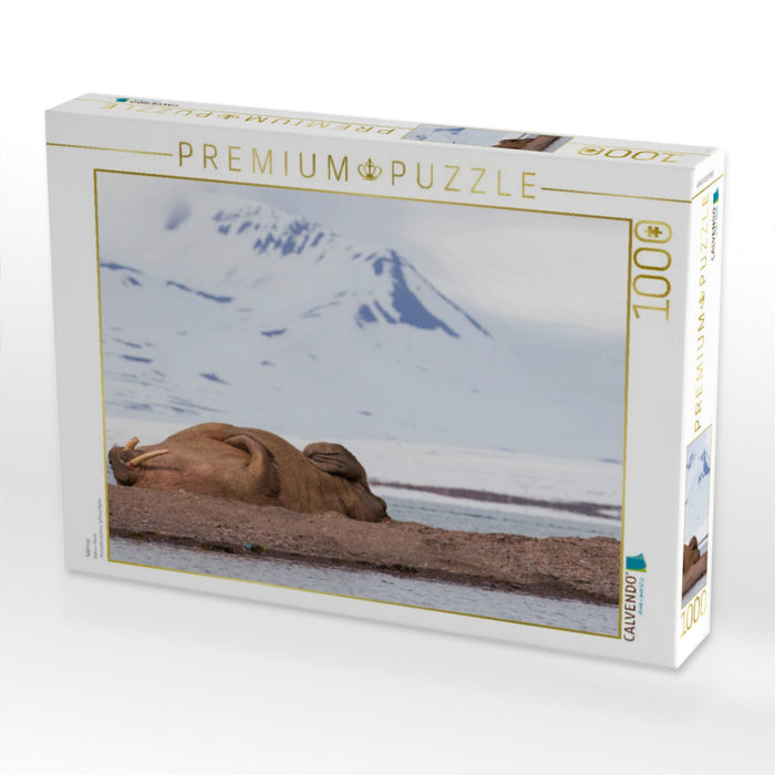 Walross - CALVENDO Foto-Puzzle'