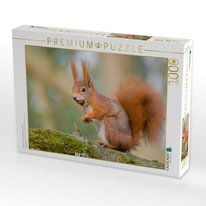 Eichhörnchen mit Haselnuss im Maul - CALVENDO Foto-Puzzle'