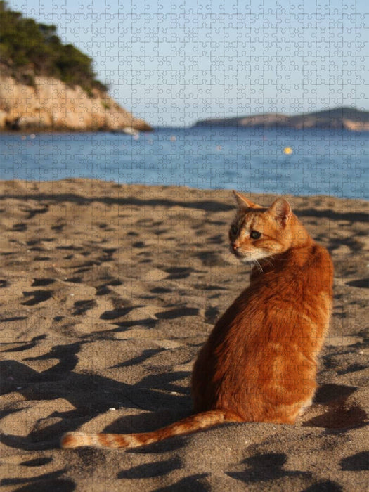 Katze am Strand von Ibiza - CALVENDO Foto-Puzzle'