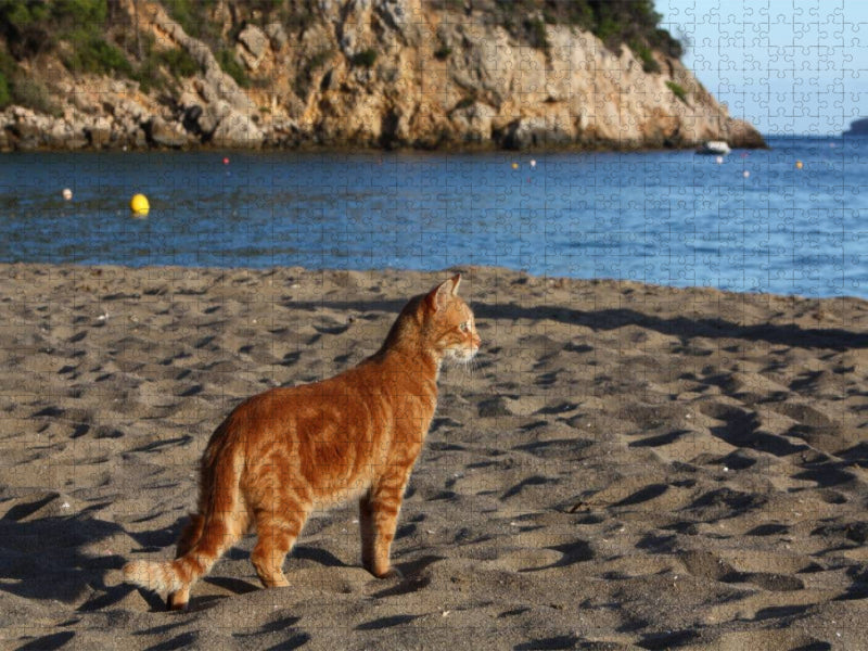 Katze am Strand von Ibiza - CALVENDO Foto-Puzzle'