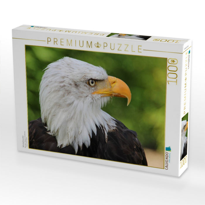 Weisskopfseeadler - CALVENDO Foto-Puzzle'