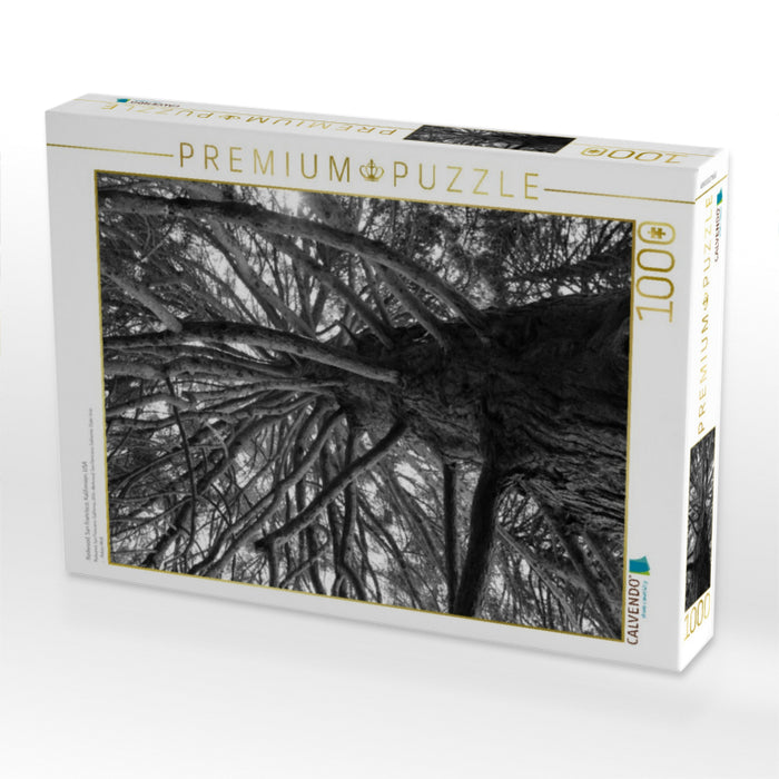 Redwood, San Francisco, Kalifornien, USA - CALVENDO Foto-Puzzle'