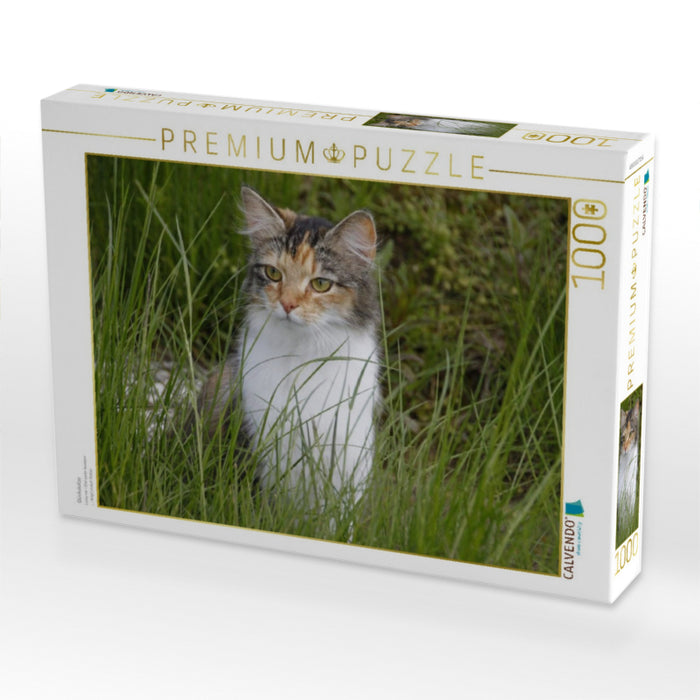 Glückskatze - CALVENDO Foto-Puzzle'