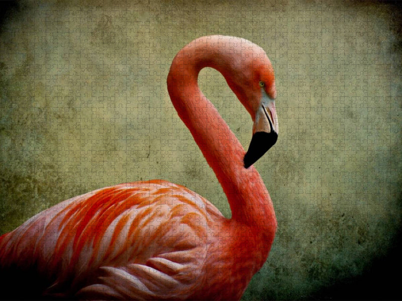 Red Flamingo - CALVENDO Foto-Puzzle'