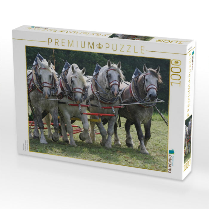 Percheron - CALVENDO Foto-Puzzle'