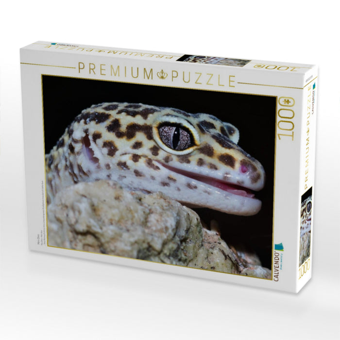 Mini-Dino - CALVENDO Foto-Puzzle'