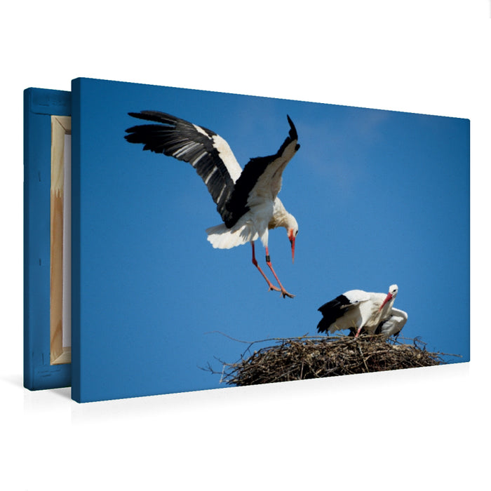 Premium Textil-Leinwand Rückkehr
