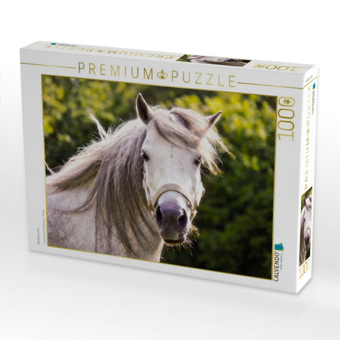 Welshpony Lulu - CALVENDO Foto-Puzzle'