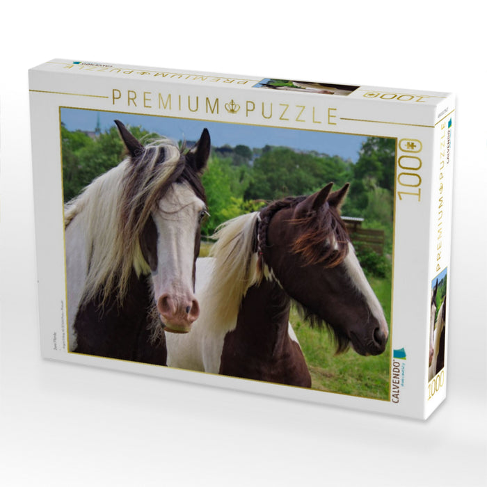 Zwei Pferde - CALVENDO Foto-Puzzle'