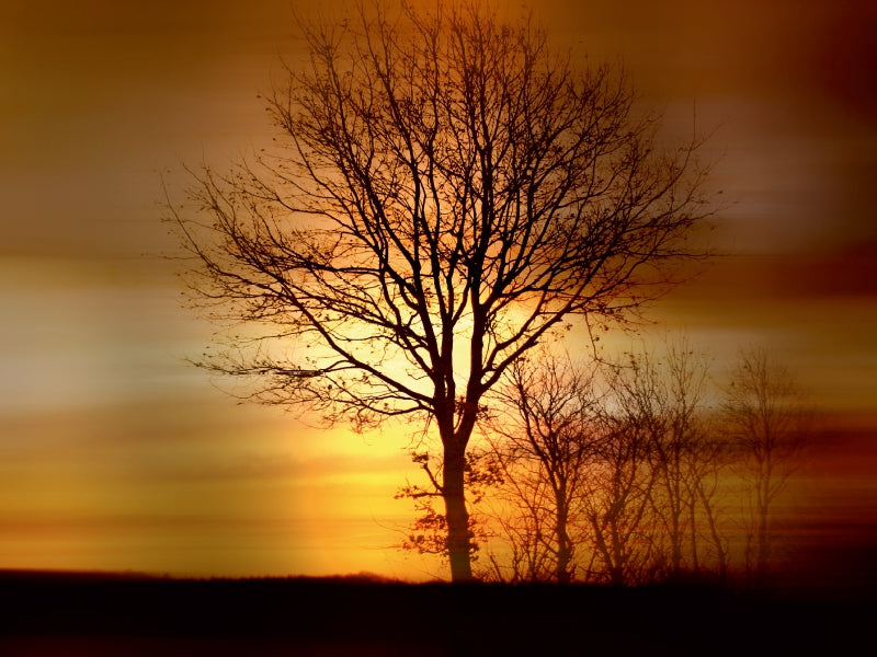 Wintermorgen 1000 Teile Puzzle quer - CALVENDO Foto-Puzzle'